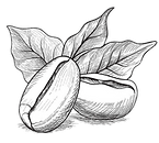 Small Batch Roasting logo