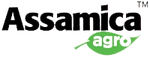 Assamica Agro logo