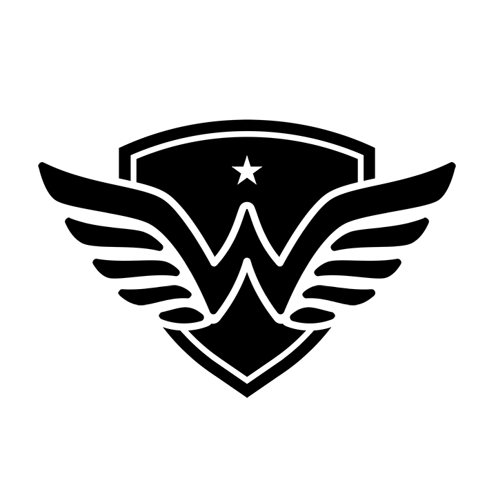 Wonder Hoodie logo