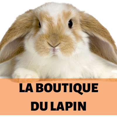 La Boutique Du Lapin logo