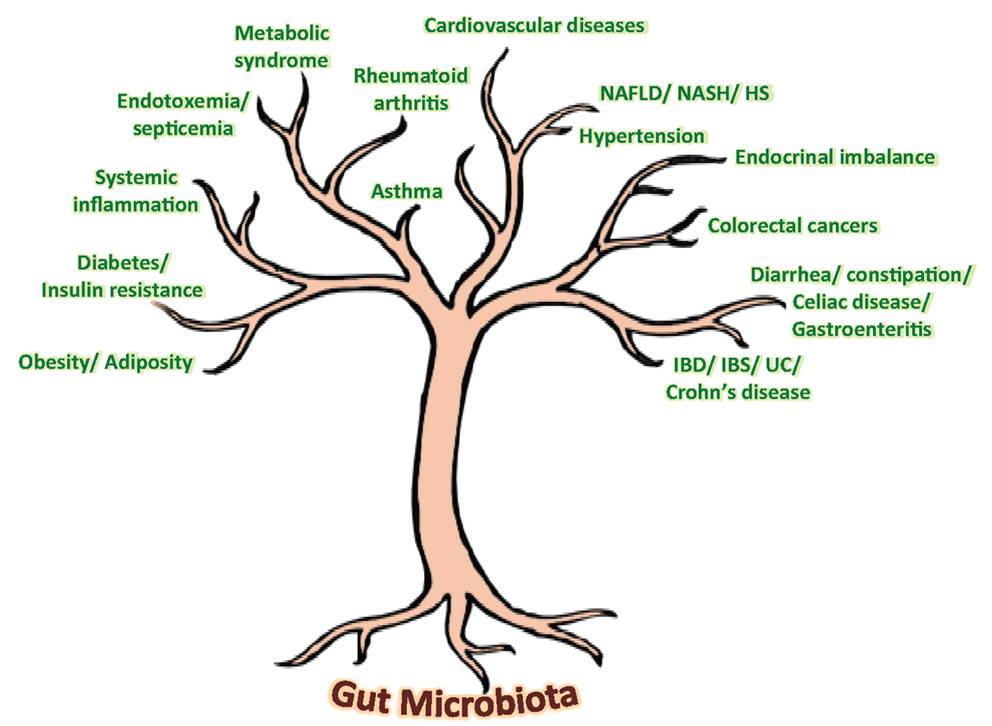 The Gut Institute logo