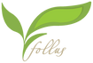 Follus logo
