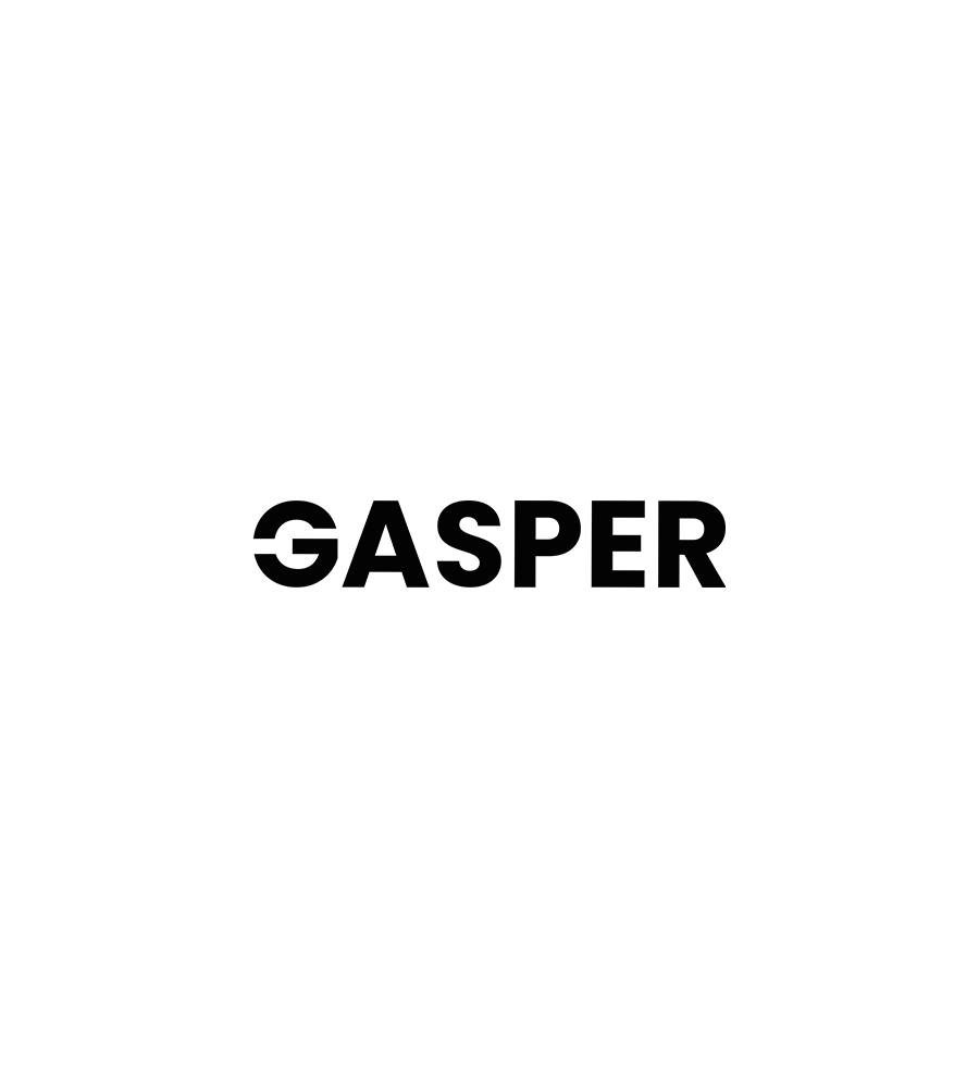 GASPER logo