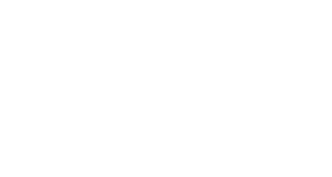 Plungechill logo