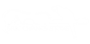 Eric Chance Stone - Author logo
