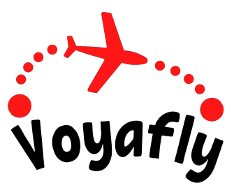 Voyafly eSIM | International eSIM for Travel logo